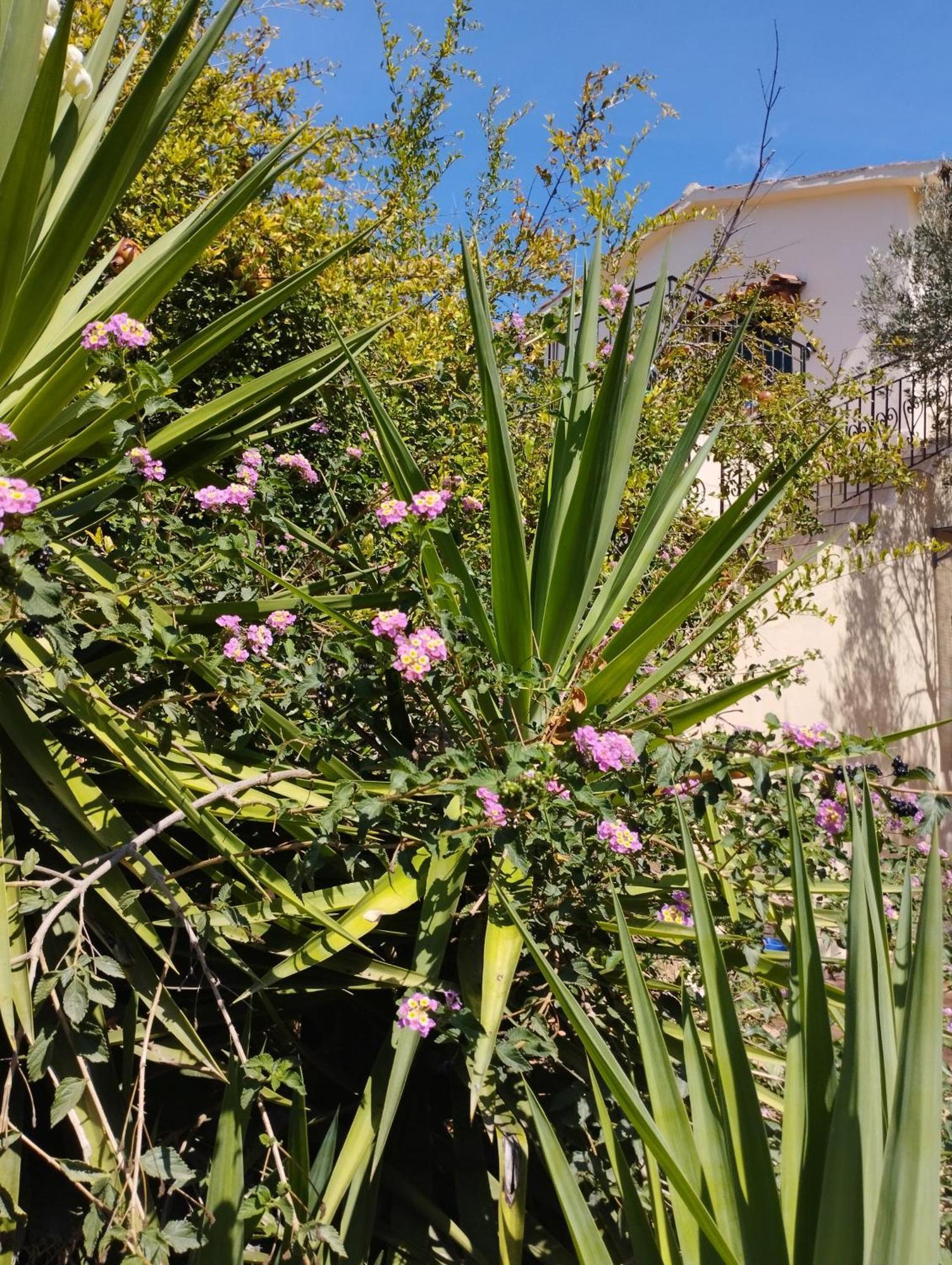 Appartamento Ktima Tzamika Episkopi-Chania Esterno foto