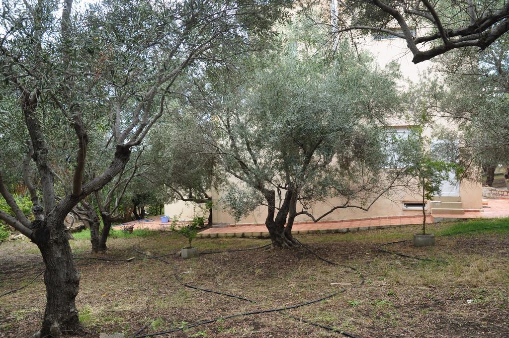 Appartamento Ktima Tzamika Episkopi-Chania Esterno foto