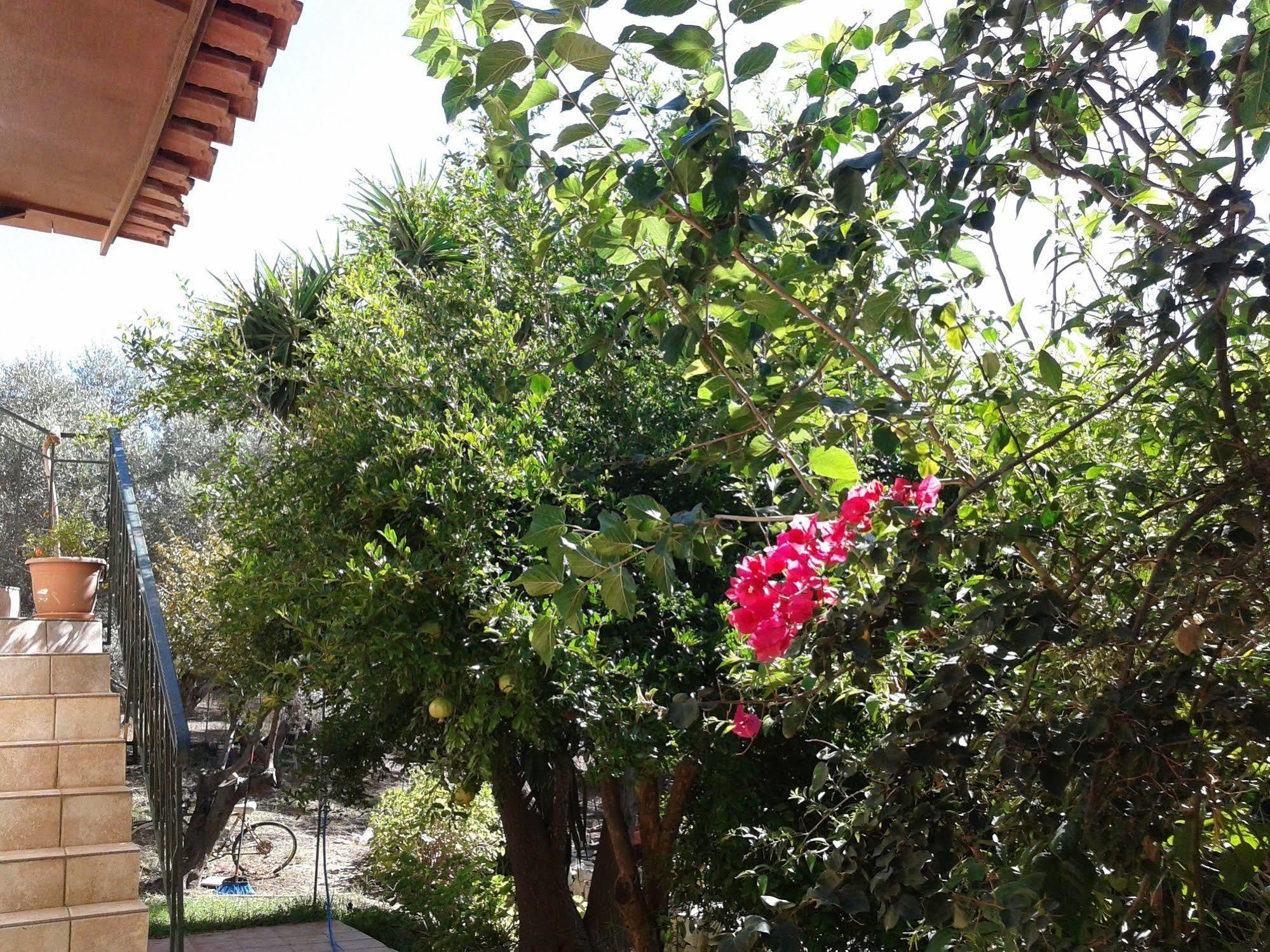 Appartamento Ktima Tzamika Episkopi-Chania Esterno foto