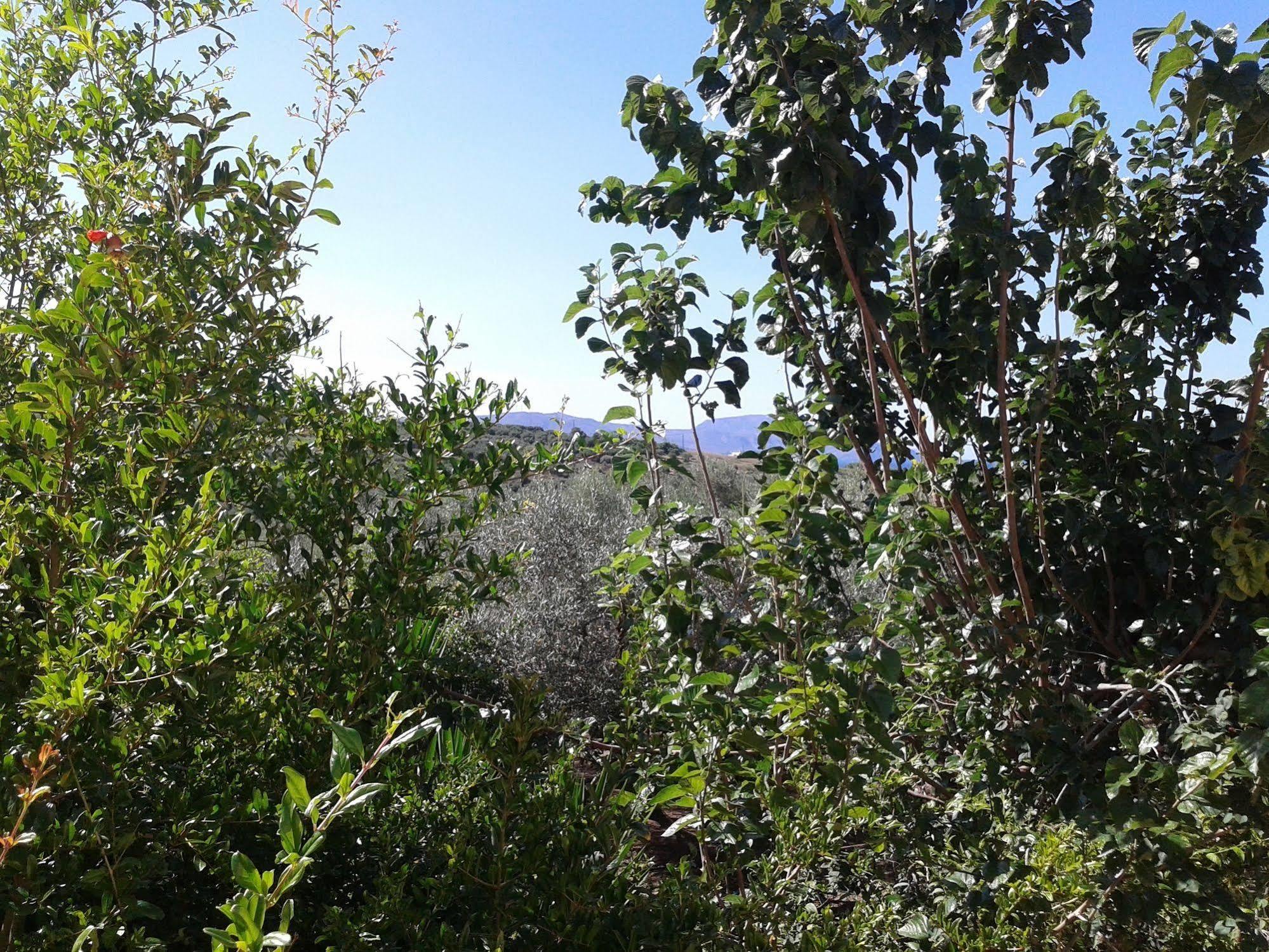 Appartamento Ktima Tzamika Episkopi-Chania Esterno foto